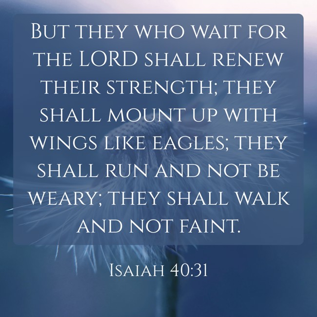 But they who wait for the LORD shall renew their strength; they shall mount up with wings like eagles; they shall run and not be weary; they shall walk and not faint. - Isaiah 40:31