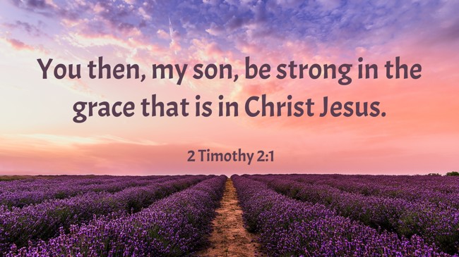 You then, my son, be strong in the grace that is in Christ Jesus. - 2 Timothy 2:1