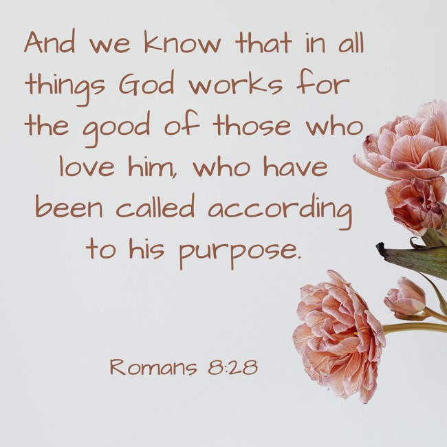 And we know that in all things God works for the good of those who love him, who have been called according to his purpose. - Romans 8:28