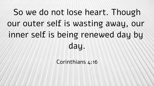 So we do not lose heart. Though our outer self is wasting away, our inner self is being renewed day by day. - Corinthians 4:16