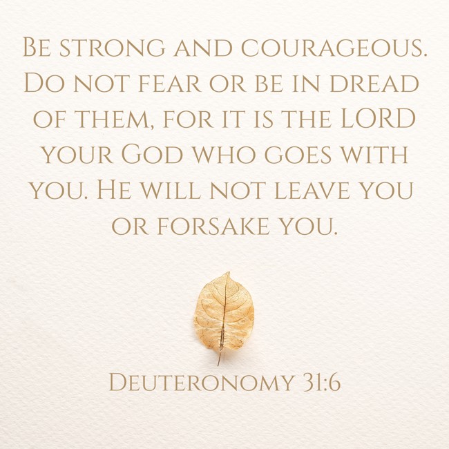Be strong and courageous. Do not fear or be in dread of them, for it is the LORD your God who goes with you. He will not leave you or forsake you. - Deuteronomy 31:6