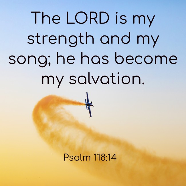 The LORD is my strength and my song; he has become my salvation. - Psalm 118:14