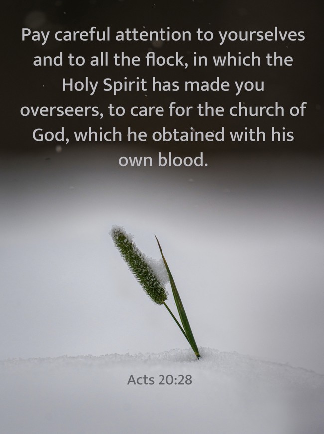 Pay careful attention to yourselves and to all the flock, in which the Holy Spirit has made you overseers, to care for the church of God, which he obtained with his own blood. - Acts 20:28