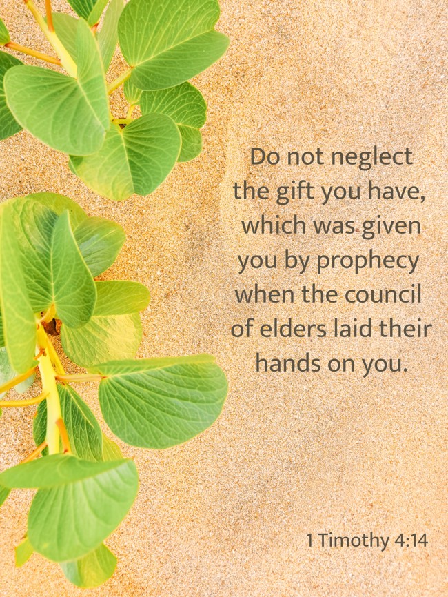 Do not neglect the gift you have, which was given you by prophecy when the council of elders laid their hands on you. - 1 Timothy 4:14