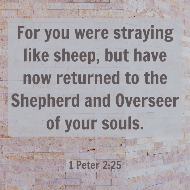 For you were straying like sheep, but have now returned to the Shepherd and Overseer of your souls. - 1 Peter 2:25