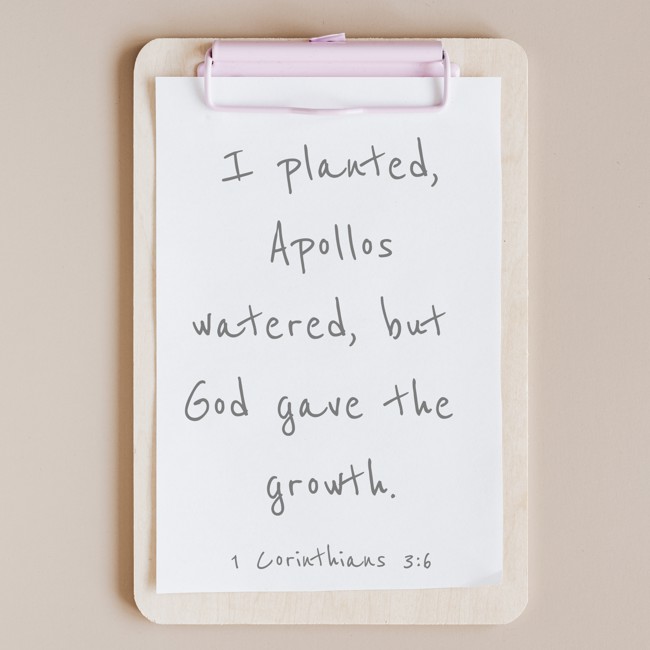 I planted, Apollos watered, but God gave the growth. - 1 Corinthians 3:6