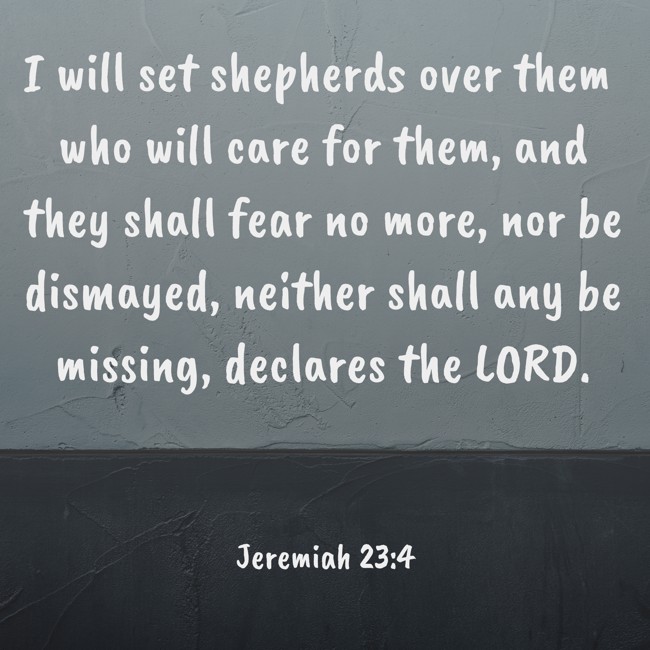 I will set shepherds over them who will care for them, and they shall fear no more, nor be dismayed, neither shall any be missing, declares the LORD. - Jeremiah 23:4