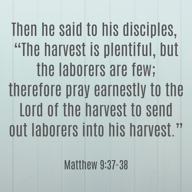 Then he said to his disciples, “The harvest is plentiful, but the laborers are few; therefore pray earnestly to the Lord of the harvest to send out laborers into his harvest.” - Matthew 9:37-38