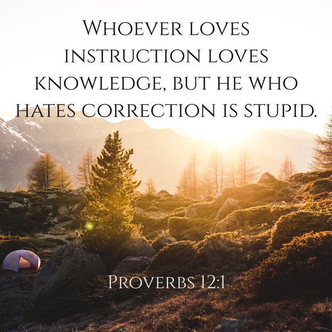 Whoever loves instruction loves knowledge, but he who hates correction is stupid. - Proverbs 12:1