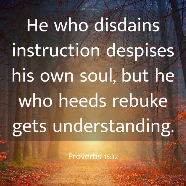 He who disdains instruction despises his own soul, but he who heeds rebuke gets understanding. - Proverbs 15:32