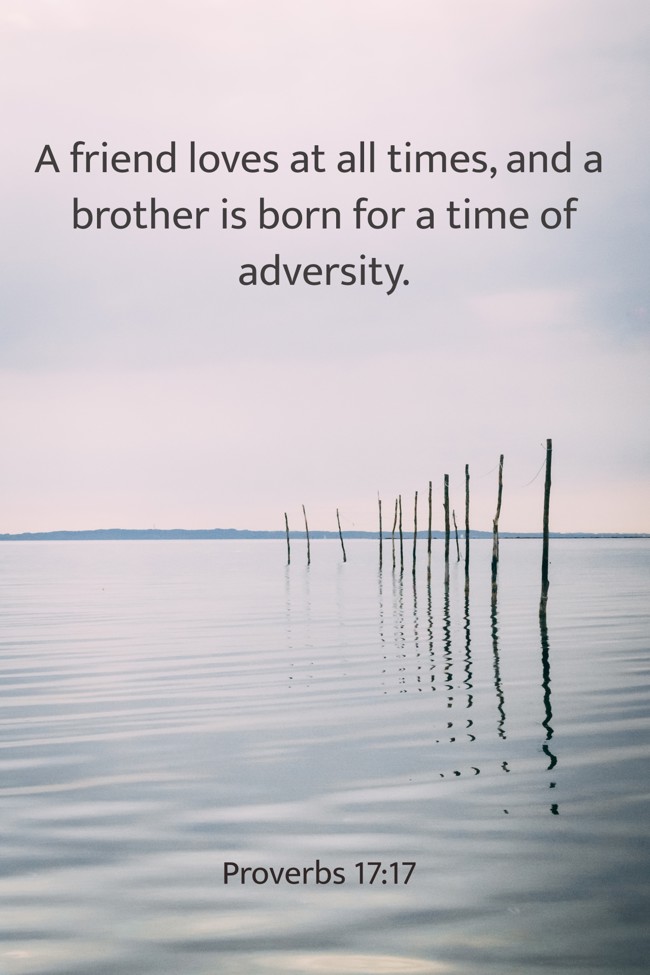 A friend loves at all times, and a brother is born for a time of adversity. - Proverbs 17:17