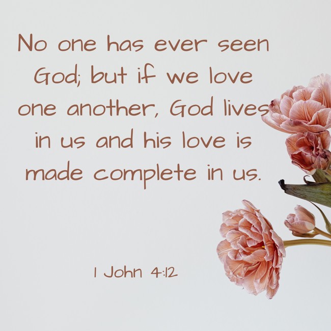 No one has ever seen God; but if we love one another, God lives in us and his love is made complete in us. - 1 John 4:12