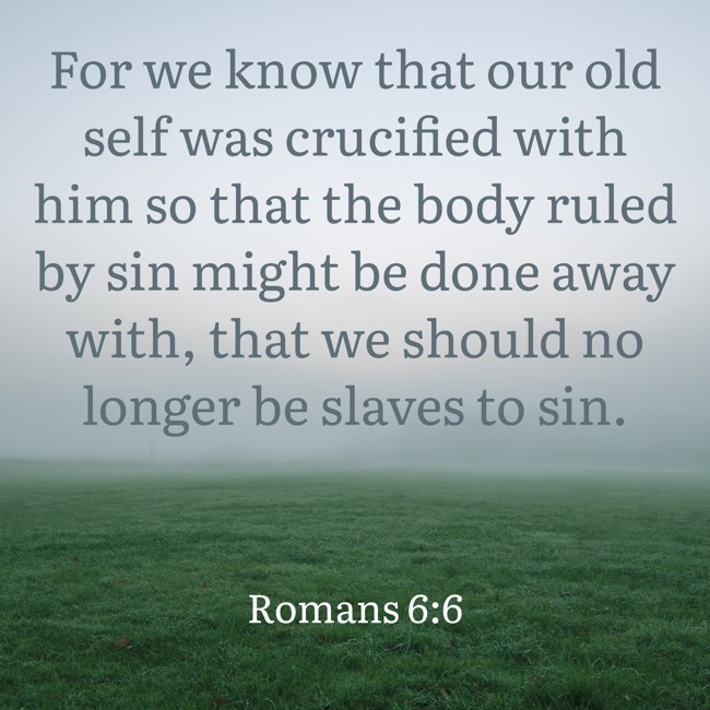  For we know that our old self was crucified with him so that the body ruled by sin might be done away with, that we should no longer be slaves to sin.   - Romans 6:6 