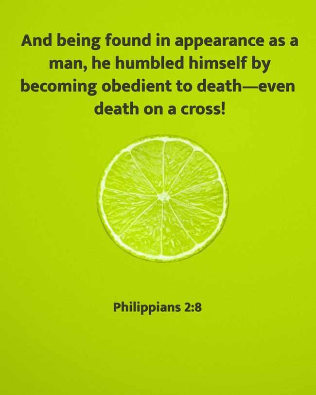  And being found in appearance as a man, he humbled himself by becoming obedient to death—even death on a cross!   - Philippians 2:8 