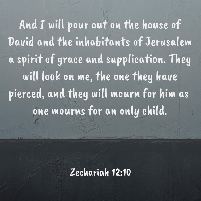  And I will pour out on the house of David and the inhabitants of Jerusalem a spirit of grace and supplication. They will look on me, the one they have pierced, and they will mourn for him as one mourns for an only child.   - Zechariah 12:10 