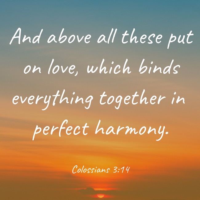 And above all these put on love, which binds everything together in perfect harmony. - Colossians 3:14