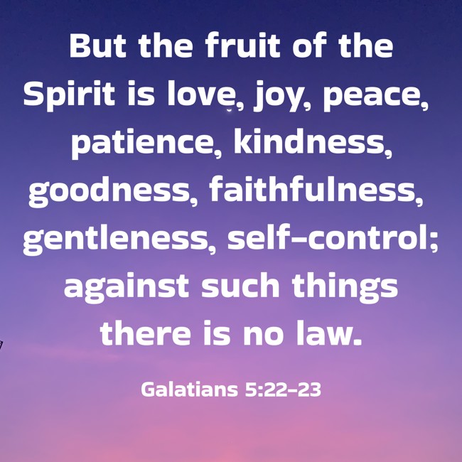 But the fruit of the Spirit is love, joy, peace, patience, kindness, goodness, faithfulness, gentleness, self-control; against such things there is no law. - Galatians 5:22-23