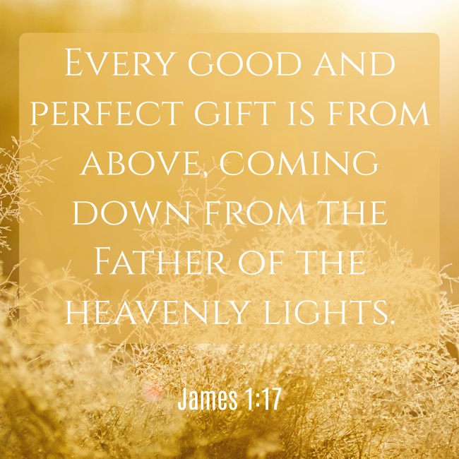 Every good and perfect gift is from above, coming down from the Father of the heavenly lights. - James 1:17