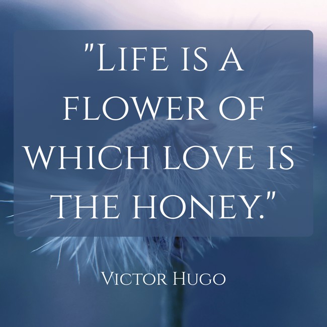 Life is a flower of which love is the honey. - Victor Hugo