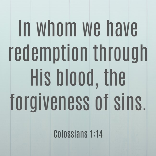  In whom we have redemption through His blood, the forgiveness of sins.   - Colossians 1:14 