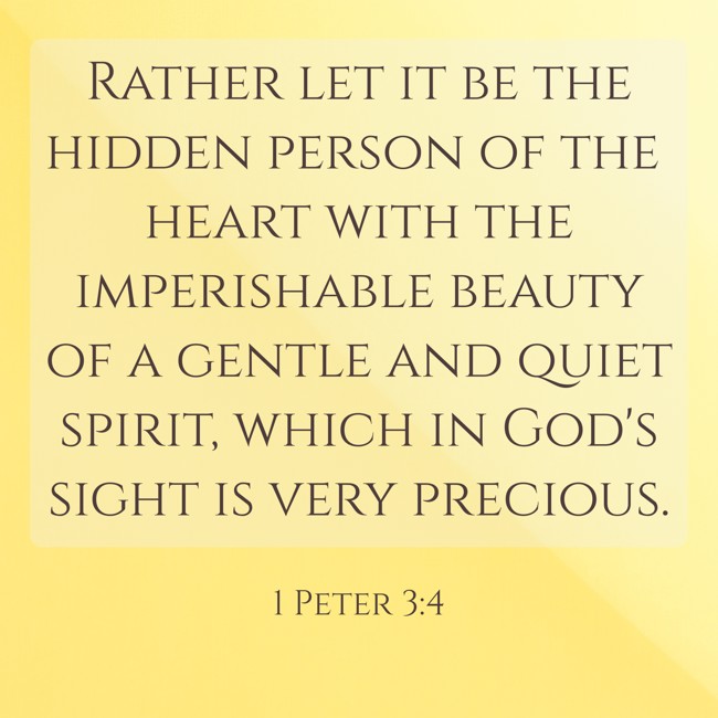 Rather let it be the hidden person of the heart with the imperishable beauty of a gentle and quiet spirit, which in God's sight is very precious. - 1 Peter 3:4