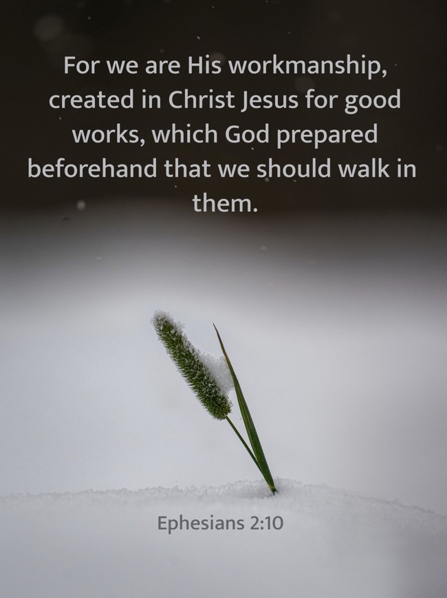 For we are His workmanship, created in Christ Jesus for good works, which God prepared beforehand that we should walk in them. - Ephesians 2:10
