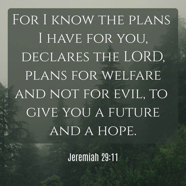 For I know the plans I have for you, declares the LORD, plans for welfare and not for evil, to give you a future and a hope. - Jeremiah 29:11