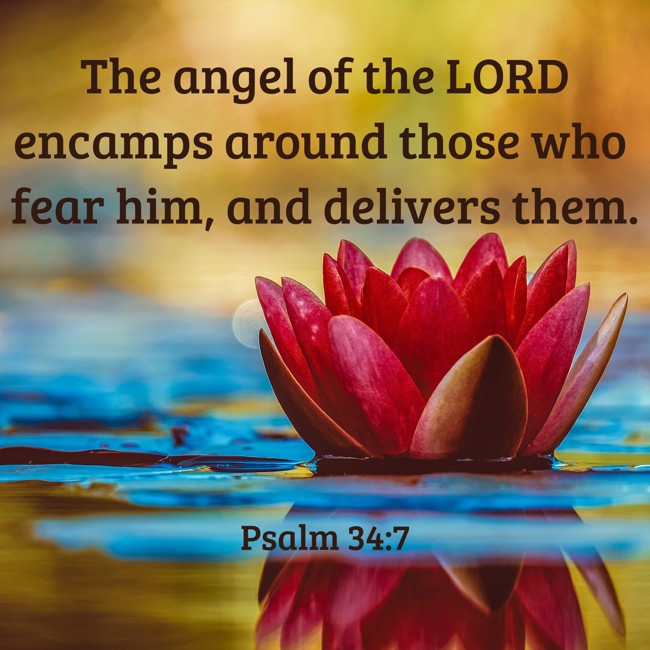 The angel of the LORD encamps around those who fear him, and delivers them. - Psalm 34:7