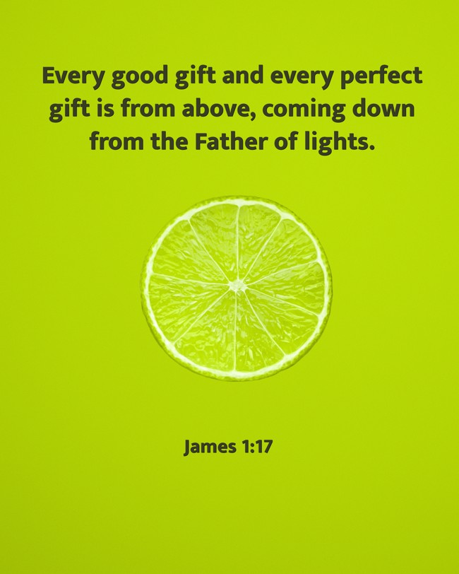 Every good gift and every perfect gift is from above, coming down from the Father of lights. - James 1:17