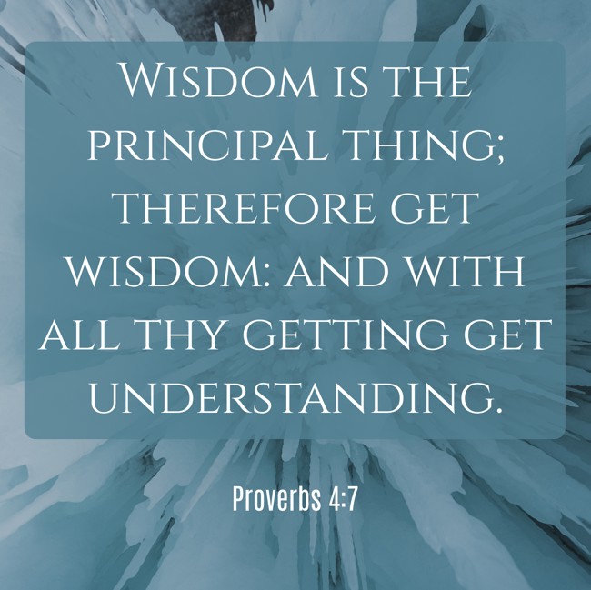 Wisdom is the principal thing; therefore get wisdom: and with all thy getting get understanding. - Proverbs 4:7