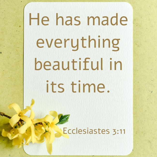 He has made everything beautiful in its time. - Ecclesiastes 3:11