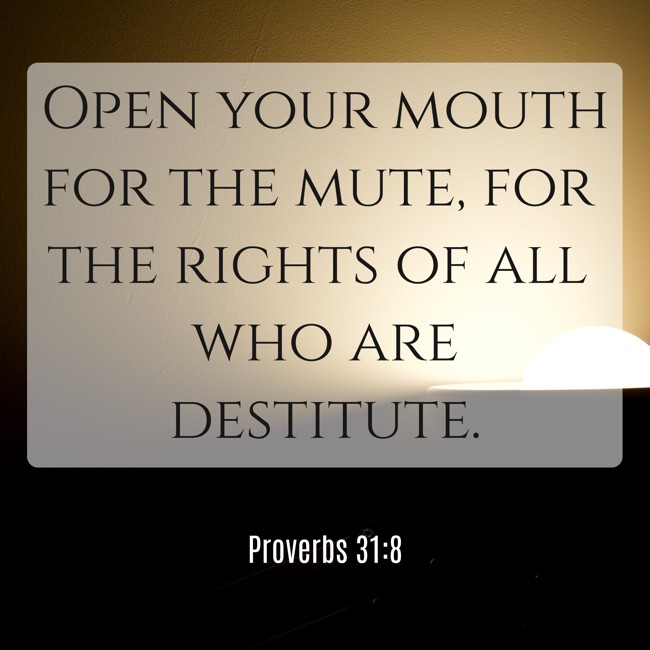 Open your mouth for the mute, for the rights of all who are destitute. - Proverbs 31:8