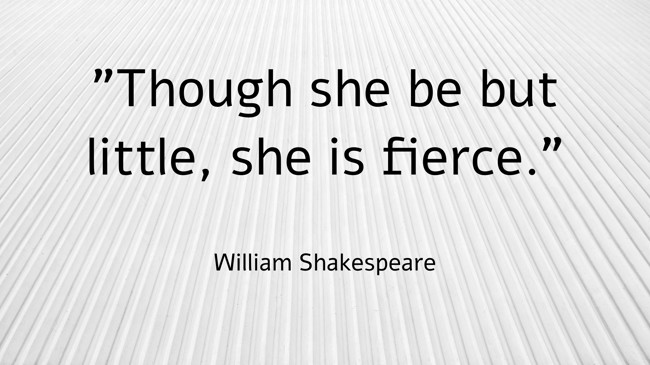 Though she be but little, she is fierce. - William Shakespeare