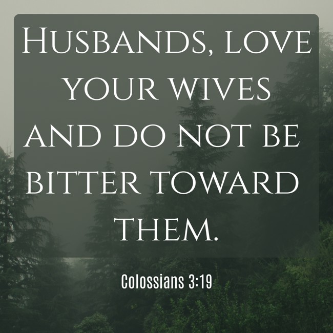 Husbands, love your wives and do not be bitter toward them. - Colossians 3:19