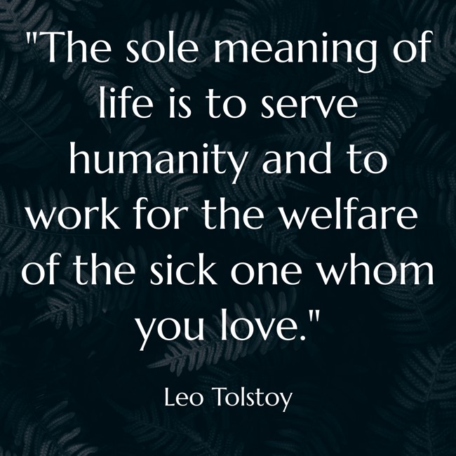 The sole meaning of life is to serve humanity and to work for the welfare of the sick one whom you love. - Leo Tolstoy
