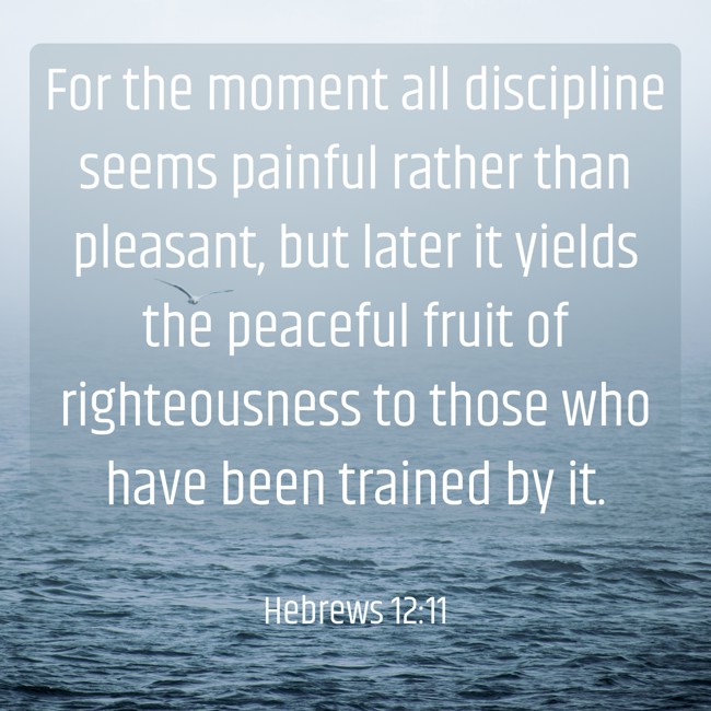 For the moment all discipline seems painful rather than pleasant, but later it yields the peaceful fruit of righteousness to those who have been trained by it. - Hebrews 12:11
