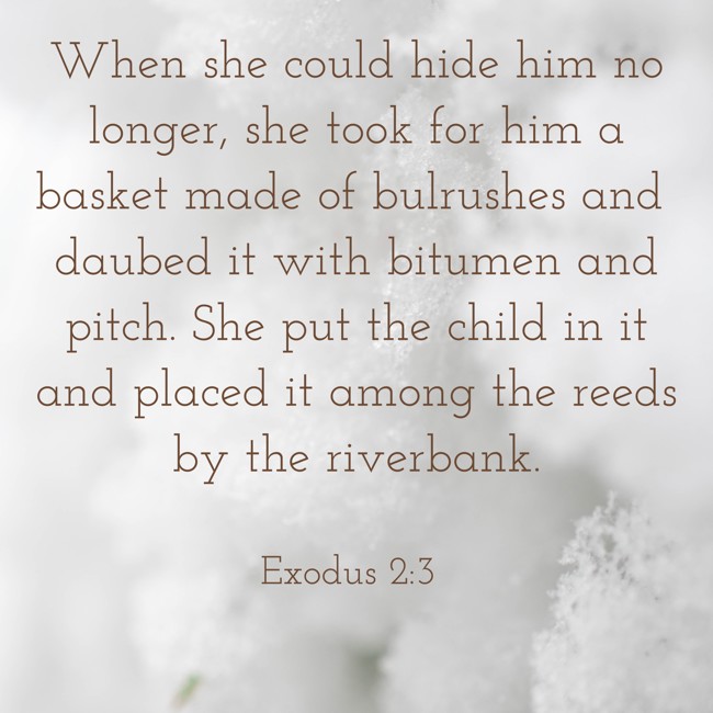 When she could hide him no longer, she took for him a basket made of bulrushes and daubed it with bitumen and pitch. She put the child in it and placed it among the reeds by the riverbank. - Exodus 2:3