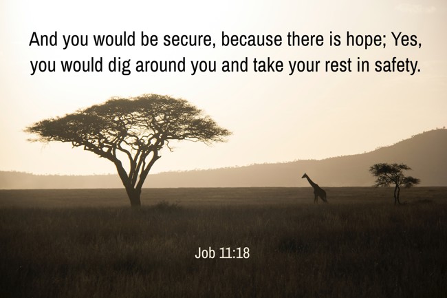 And you would be secure, because there is hope; Yes, you would dig around you and take your rest in safety. - Job 11:18
