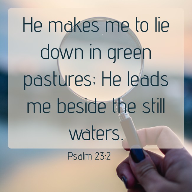 He makes me to lie down in green pastures; He leads me beside the still waters. - Psalm 23:2