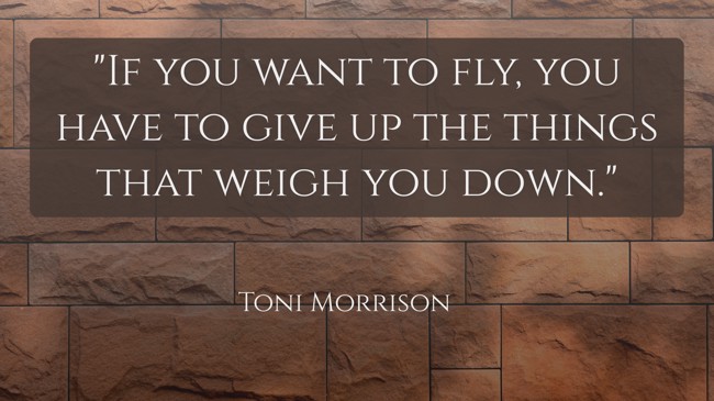 If you want to fly, you have to give up the things that weigh you down. - Toni Morrison
