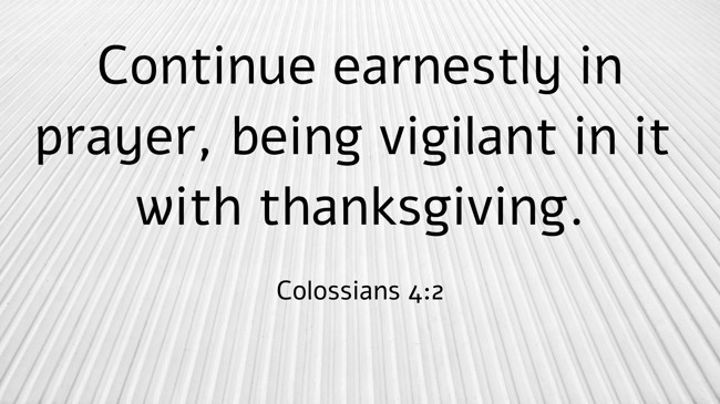 Continue earnestly in prayer, being vigilant in it with thanksgiving. - Colossians 4:2