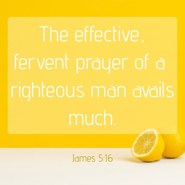 The effective, fervent prayer of a righteous man avails much. - James 5:16
