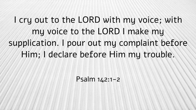 I cry out to the LORD with my voice; with my voice to the LORD I make my supplication. I pour out my complaint before Him; I declare before Him my trouble. - Psalm 142:1-2