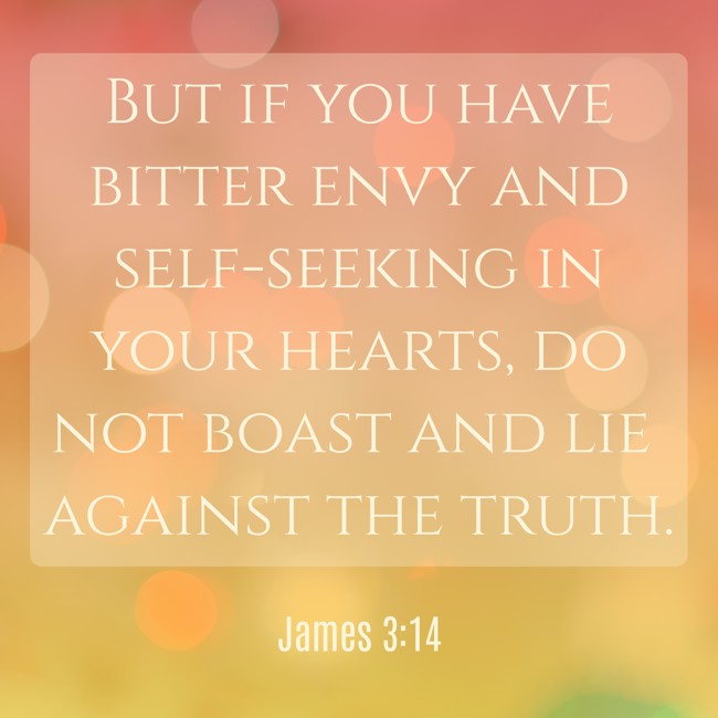 But if you have bitter envy and self-seeking in your hearts, do not boast and lie against the truth. - James 3:14