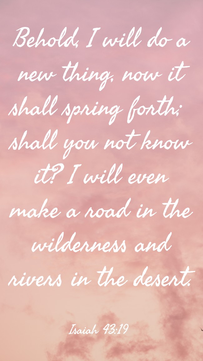 Behold, I will do a new thing, now it shall spring forth; shall you not know it? I will even make a road in the wilderness and rivers in the desert. - Isaiah 43:19