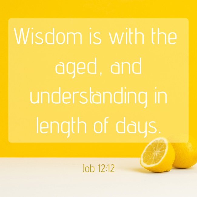 Wisdom is with the aged, and understanding in length of days. - Job 12:12