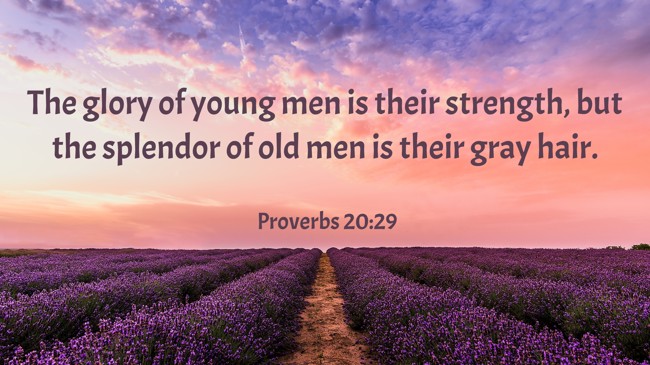 The glory of young men is their strength, but the splendor of old men is their gray hair. - Proverbs 20:29
