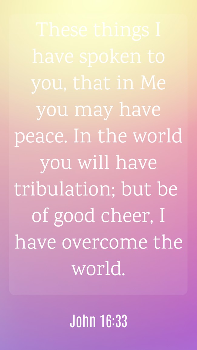 These things I have spoken to you, that in Me you may have peace. In the world you will have tribulation; but be of good cheer, I have overcome the world. - John 16:33