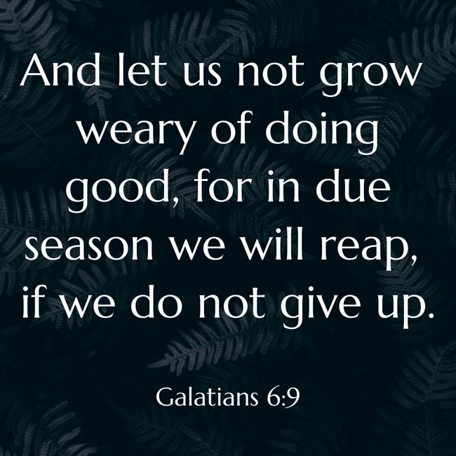And let us not grow weary of doing good, for in due season we will reap, if we do not give up. - Galatians 6:9