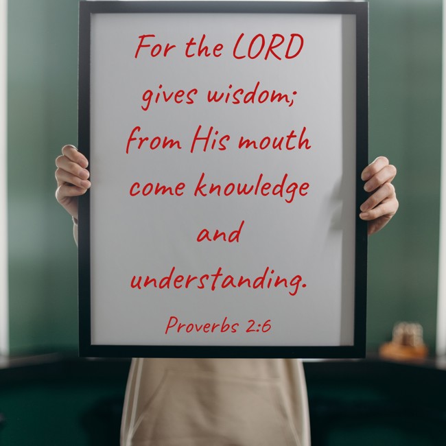 For the LORD gives wisdom; from His mouth come knowledge and understanding. - Proverbs 2:6